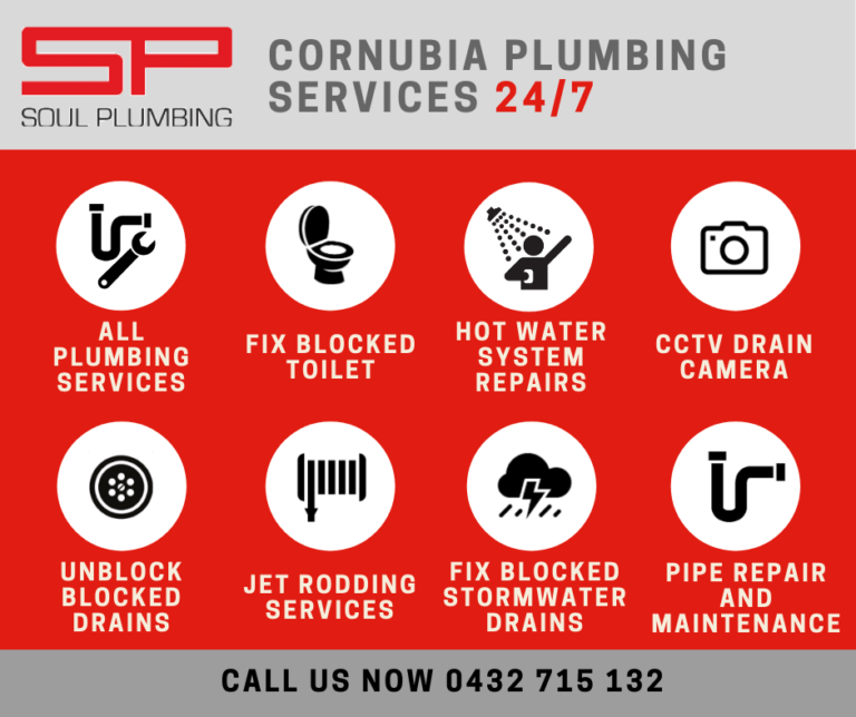 Common Plumbing Issues